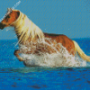 Running Horse In Water Diamond Paintings