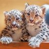 Snow Leopard Cubs Diamond Paintings