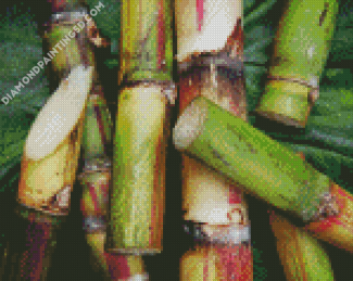 Aesthetic Sugarcane Plant Diamond Paintings