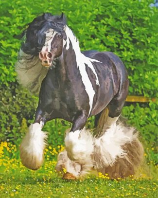 Cob Horse Animal Diamond Paintings
