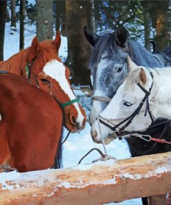 Cob Horses Animals Diamond Paintings