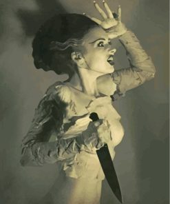 Monochrome Bride Of Frankenstein Diamond Paintings