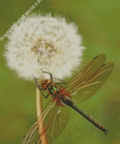 Aesthetic Dragonfly And Dandelion Diamond Paintings