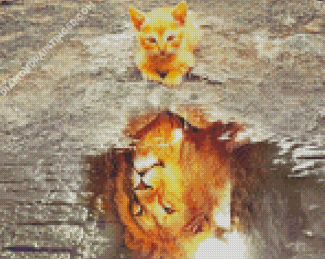 Cat Water Reflection Diamond Paintings