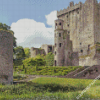 Irish Castles Blarney Diamond Paintings