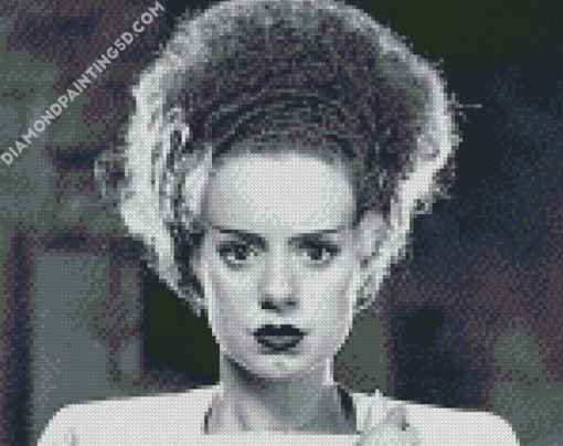 Monochrome Bride Of Frankenstein Diamond Paintings