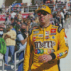 The American Race Driver Kyle Busch Diamond Paintings