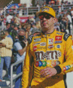 The American Race Driver Kyle Busch Diamond Paintings