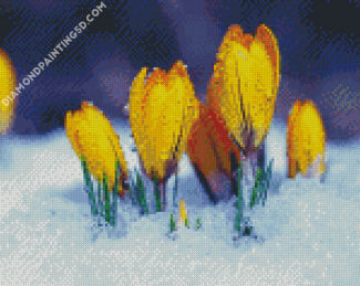 Yellow Spring Flowers Diamond Paintings