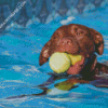 Dog In Pool Diamond Paintings