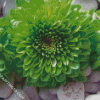 Aesthetic Green Flowers Diamond Paintings