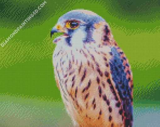 Beautiful Kestrel Bird Diamond Paintings