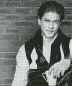 Black And White Shah Rukh Khan Diamond Paintings