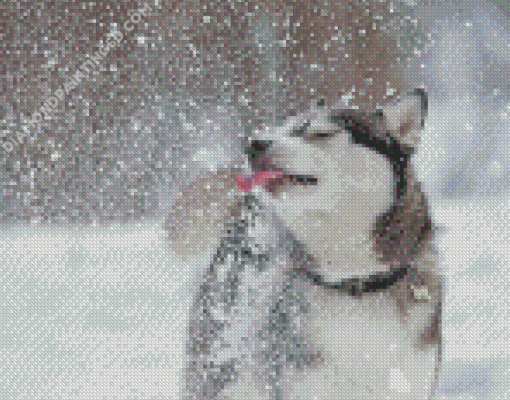 Cute Winter Dog Diamond Paintings