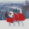 Cute Winter Dog In Snow Diamond Paintings
