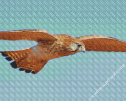 Flying Kestrel Bird Diamond Paintings