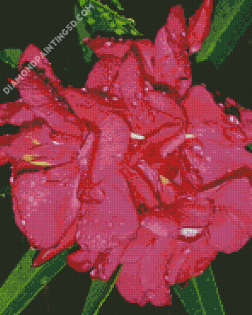 Pink Flowers Oleander Diamond Paintings