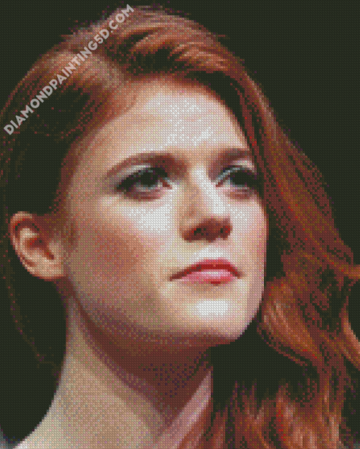 The Actress Rose Leslie Diamond Paintings