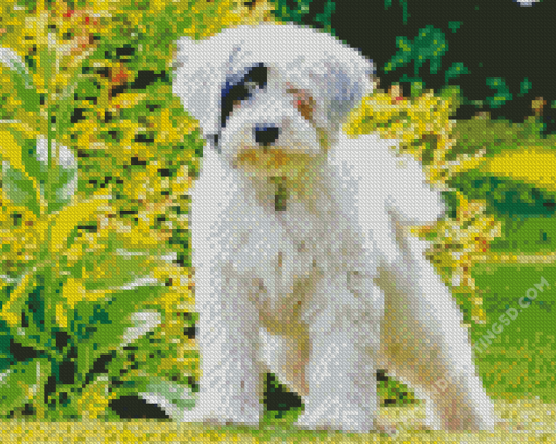 White Tibetan Terrier In Garden Diamond Paintings