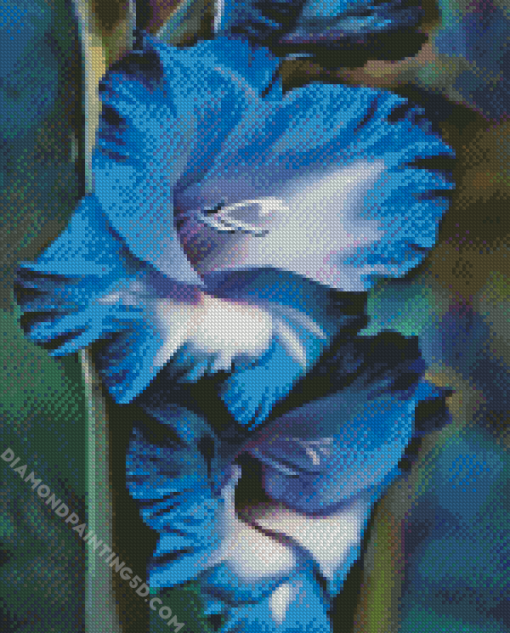 Blue Gladiola Diamond Paintings
