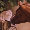 Cat And Horse Friends Art Diamond Paintings