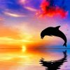 Dolphin At Sunset Diamond Paintings