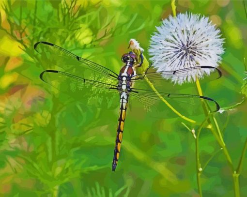 Dragonfly And Dandelion Diamond Paintings