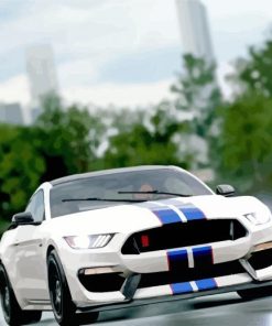 Ford Shelby GT350R On Road Diamond Paintings