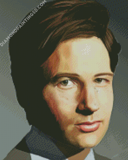 Fox Mulder Art Diamond Paintings