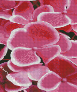 Fuchsia Flowers Diamond Paintings