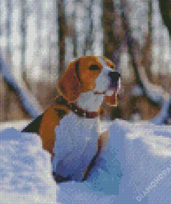 Drever Dog In Snow Diamond Paintings