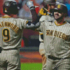 San Diego Padres Baseball Diamond Paintings