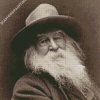 Black And White American Poet Walt Whitman Diamond Paintings