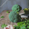 Broccoli Plant Diamond Paintings