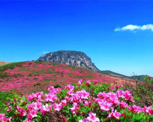 Hallasan Jeju Diamond Paintings