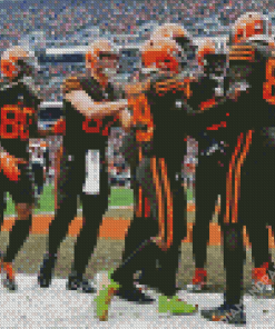 Cleveland Browns Team Diamond Paintings