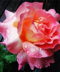 Roses With Rain Drops Diamond Paintings