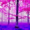 Purple Fall Forest Diamond Paintings