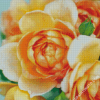 Aesthetic Peach Roses Diamond Paintings