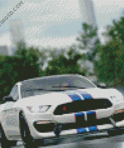 Ford Shelby GT350R On Road Diamond Paintings