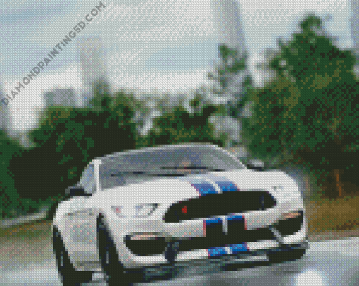 Ford Shelby GT350R On Road Diamond Paintings