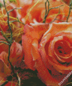 Peach Roses Flowers Diamond Paintings