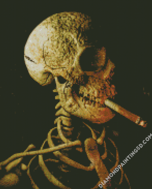 Vintage Skull With Cigarette Diamond Paintings