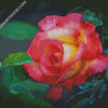 Yellow And Pink Roses Flower Diamond Paintings