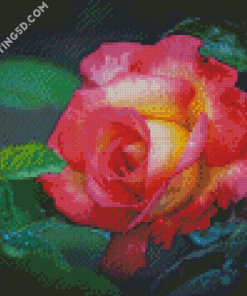 Yellow And Pink Roses Flower Diamond Paintings