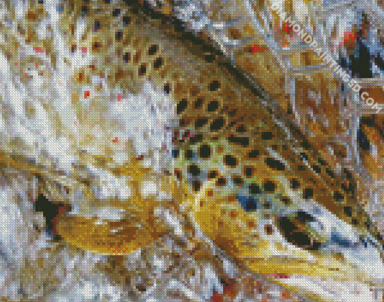 Brown Trout Fish In Water Diamond Painting 