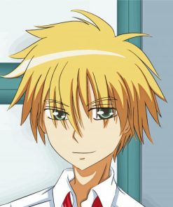 Takumi Usui Anime Character Diamond Paintings