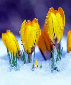 Yellow Spring Flowers Diamond Paintings