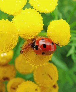 Ant And Ladybug On Flower Diamond Paintings