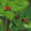 Ant And Ladybug On Leaves Diamond Paintings